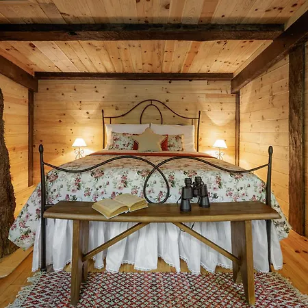 Be&See In River Ovar Room photo